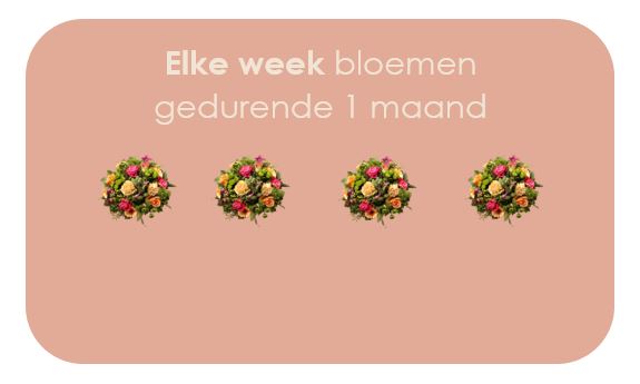 Wekelijks Abonnement 1 maand