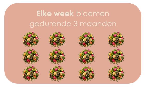 Wekelijks Abonnement 3 maanden