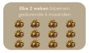 2 Wekelijks Abonnement 6 maanden